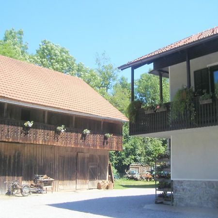 Guest House Kmetija Dane Exterior foto